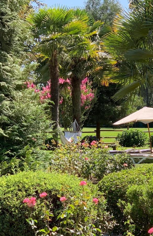 Bed&Breakfast ,Casa de campo San Esteban,Linares Miraflores Exterior foto